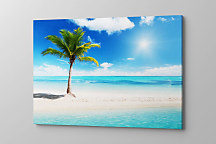 Obraz Palm beach zs1345